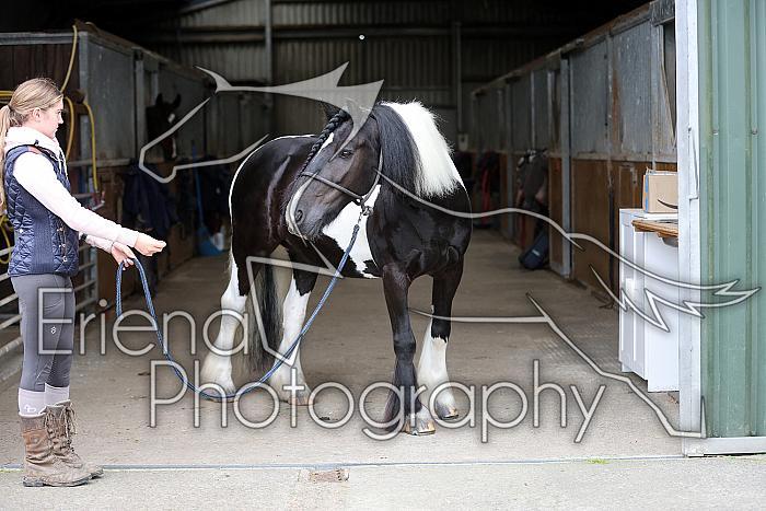 Donnelly1H5A5957056