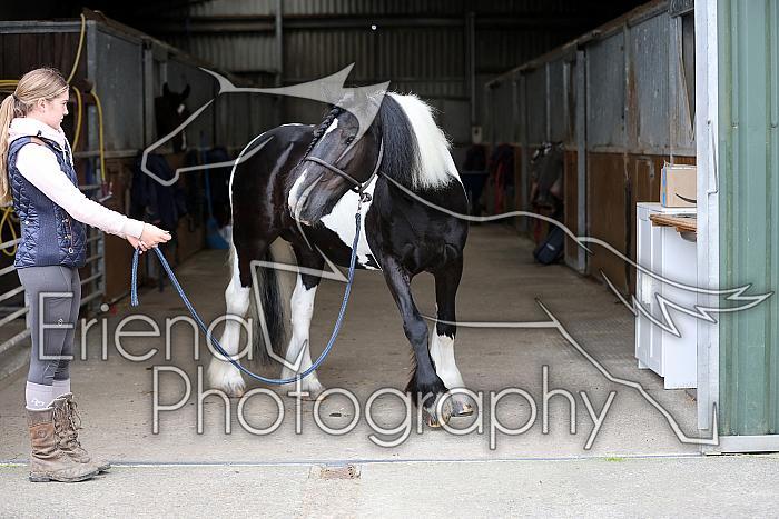 Donnelly1H5A5958057