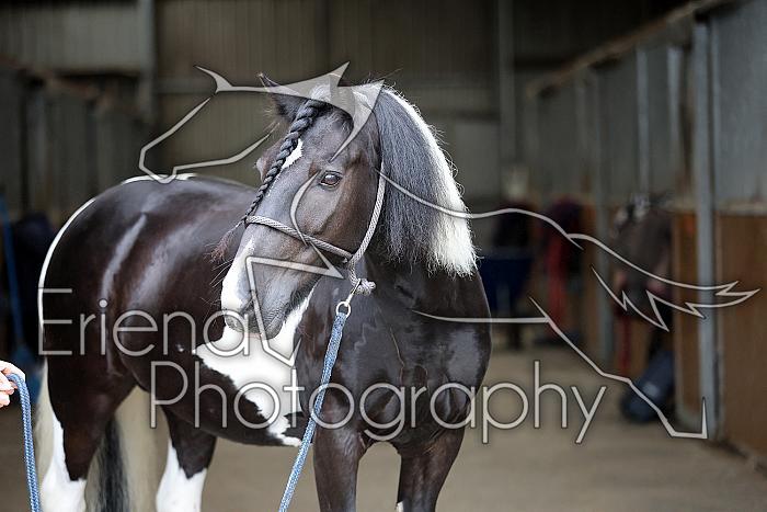 Donnelly1H5A5960058