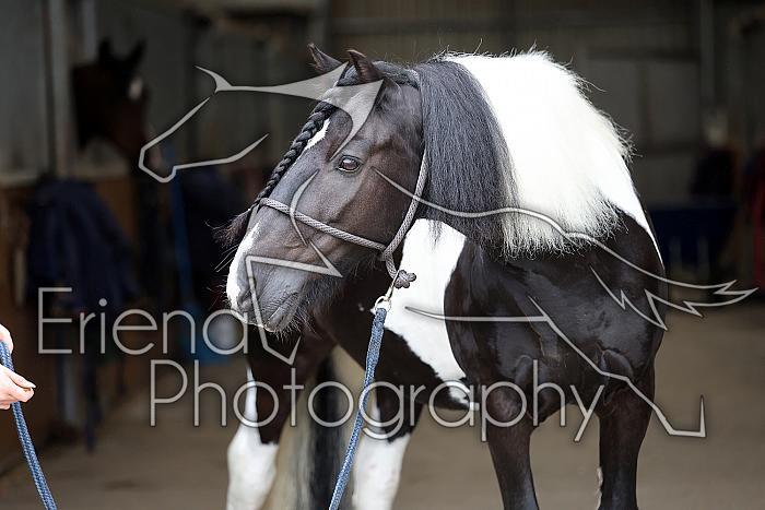 Donnelly1H5A5962060