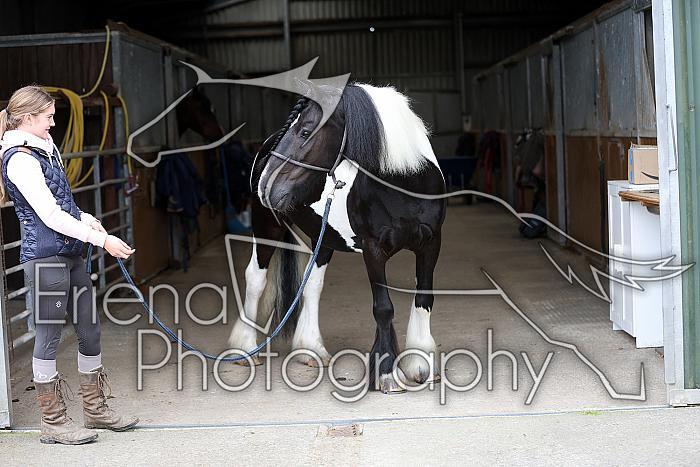 Donnelly1H5A5964061