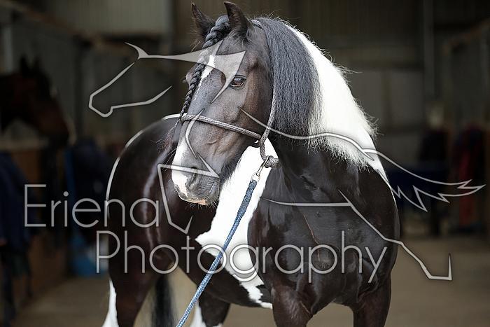 Donnelly1H5A5965062