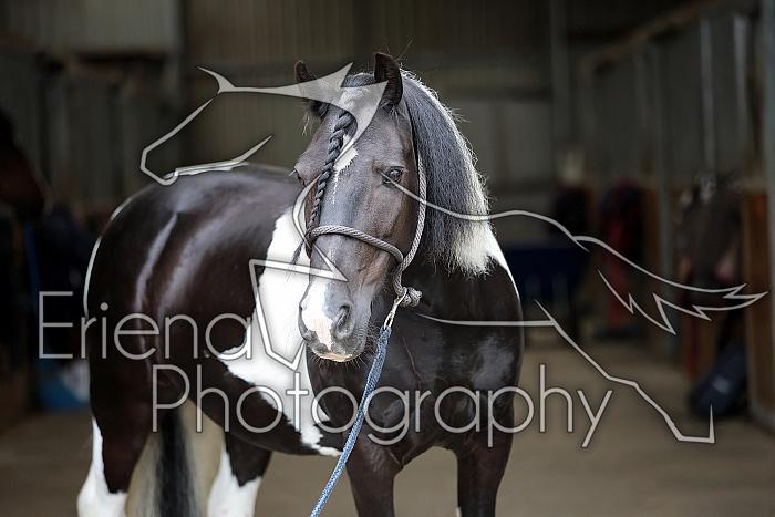 Donnelly1H5A5969063