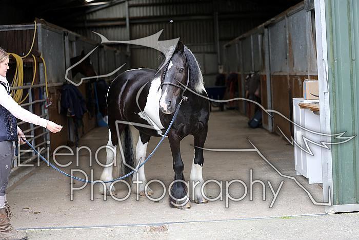 Donnelly1H5A5971064