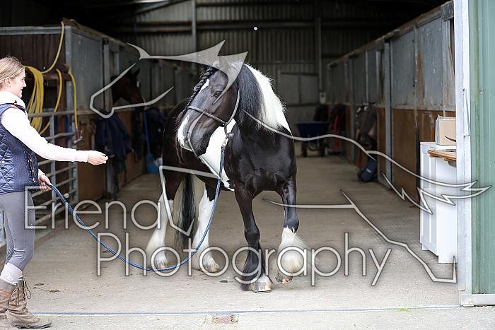 Donnelly1H5A5975066