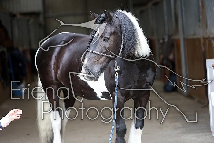 Donnelly1H5A5979067