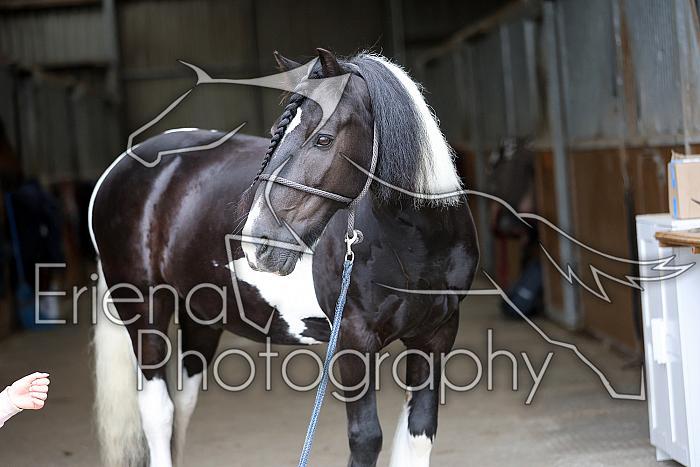 Donnelly1H5A5980068