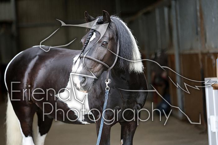 Donnelly1H5A5983069