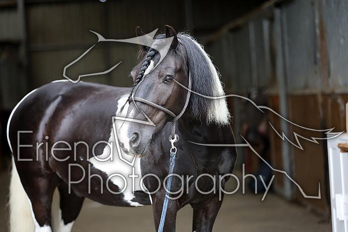 Donnelly1H5A5984070