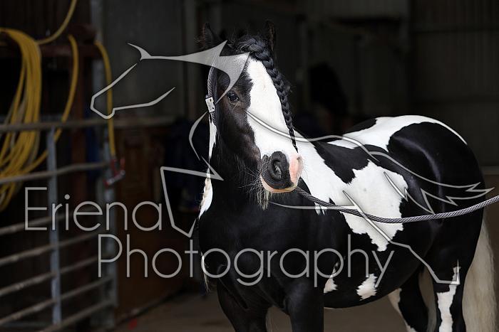 Donnelly1H5A5987071