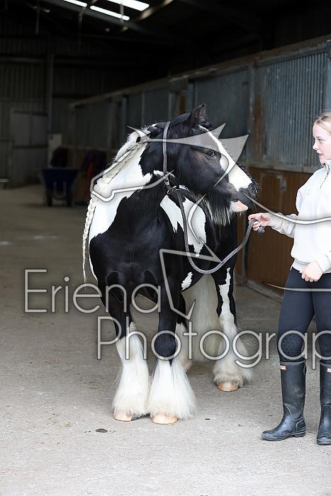 Donnelly1H5A6004079
