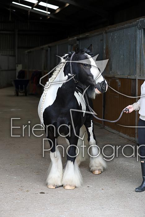 Donnelly1H5A6009084