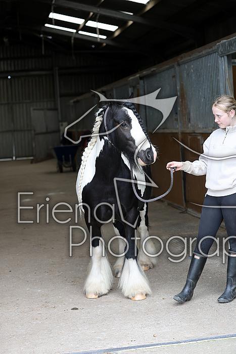 Donnelly1H5A6021087