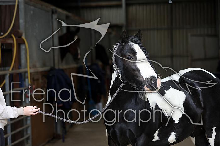 Donnelly1H5A6027088