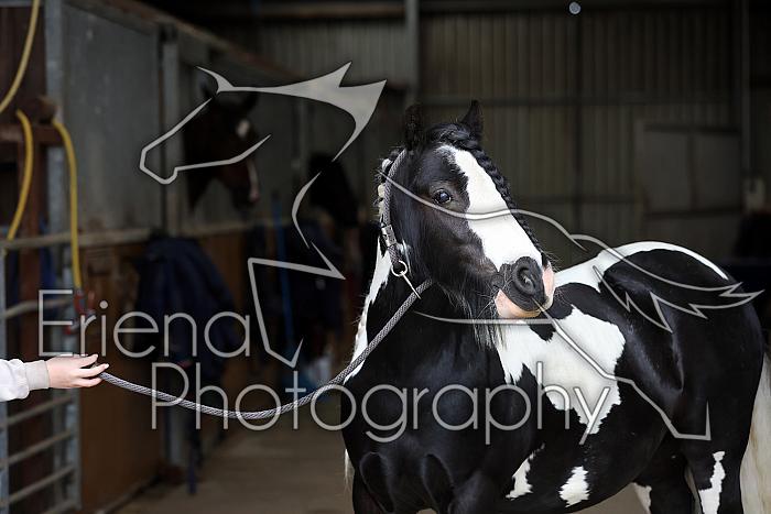 Donnelly1H5A6028089