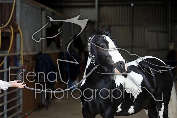 Donnelly1H5A6030090