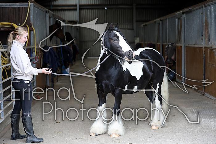 Donnelly1H5A6034094