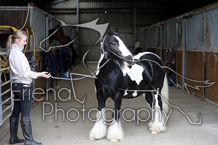 Donnelly1H5A6035095
