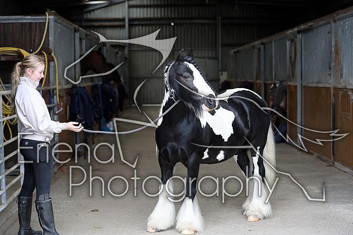 Donnelly1H5A6036096