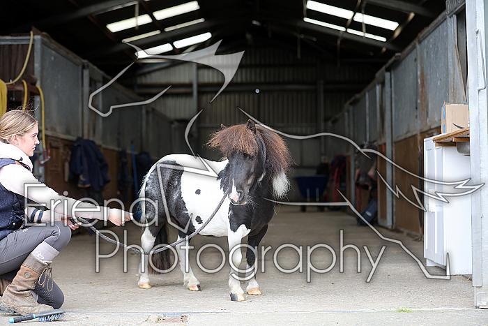 Donnelly1H5A6097105
