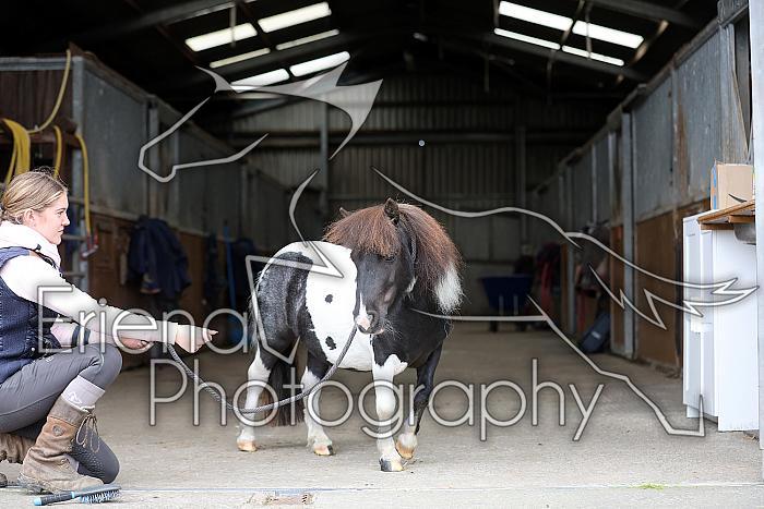 Donnelly1H5A6098106