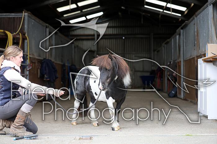 Donnelly1H5A6099107