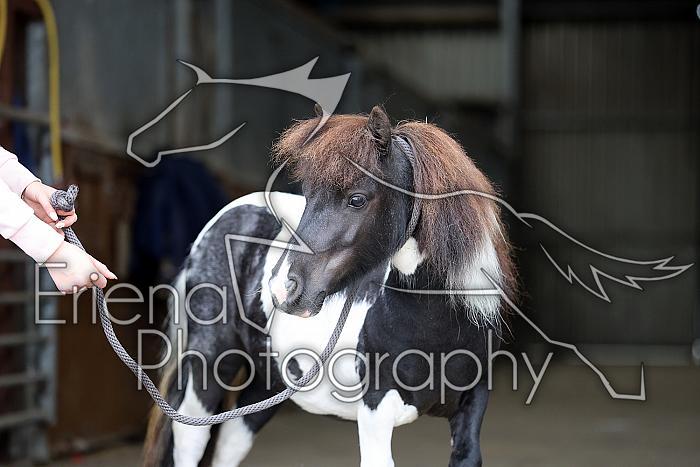 Donnelly1H5A6107112