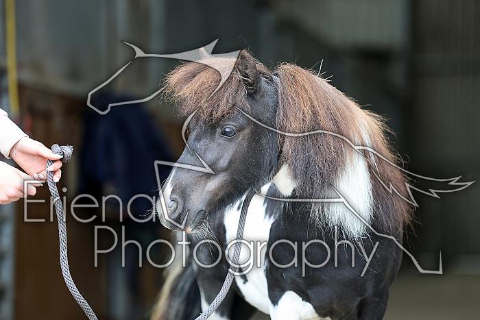 Donnelly1H5A6108113