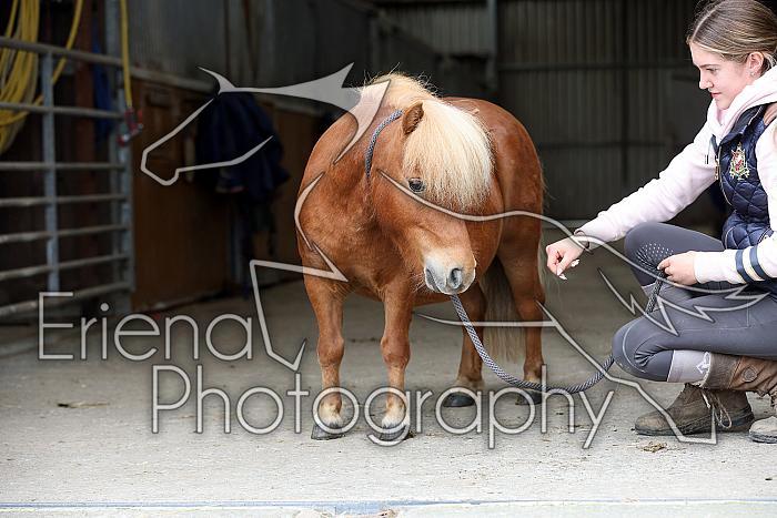 Donnelly1H5A6120115
