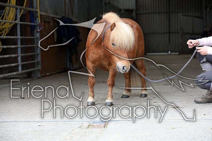 Donnelly1H5A6123116
