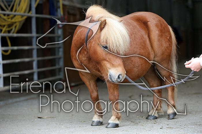 Donnelly1H5A6124117