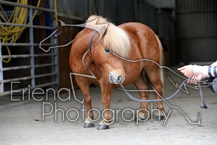 Donnelly1H5A6126118