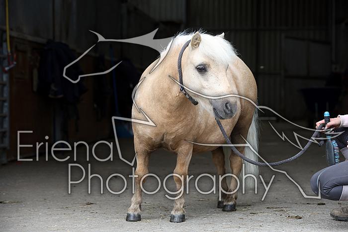 Donnelly1H5A6131119