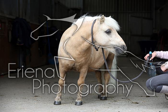 Donnelly1H5A6132120