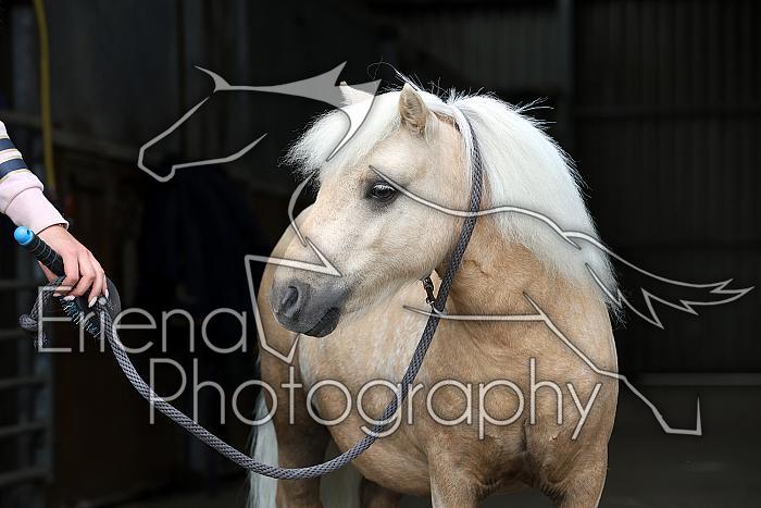 Donnelly1H5A6134122