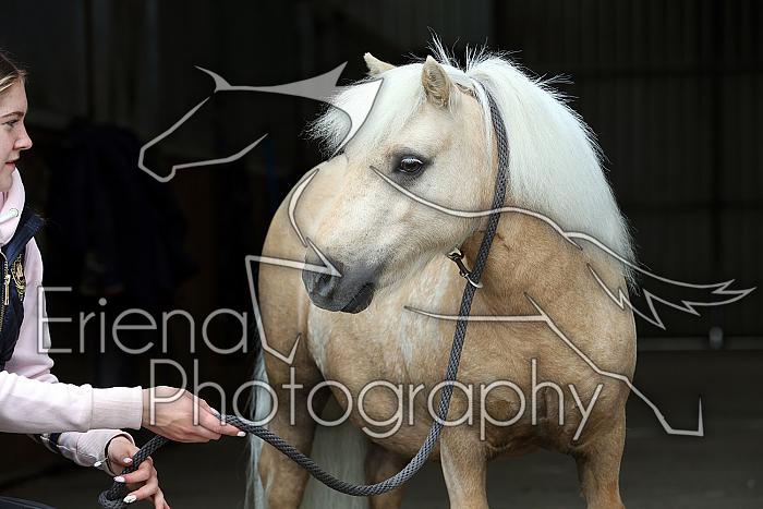 Donnelly1H5A6135123