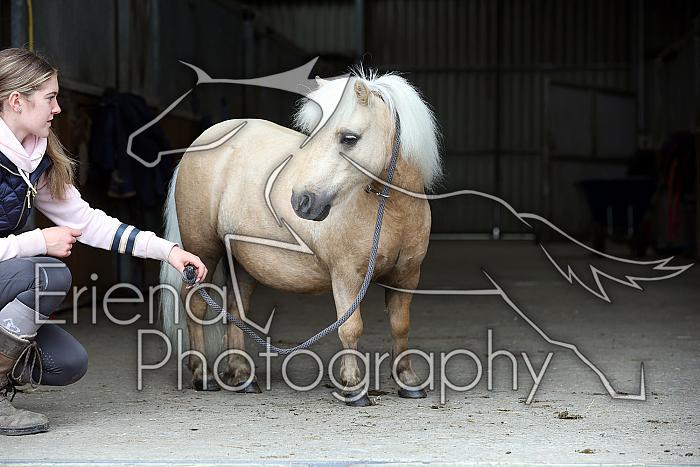 Donnelly1H5A6136124