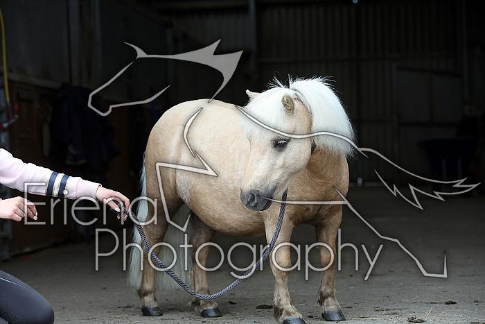 Donnelly1H5A6137125