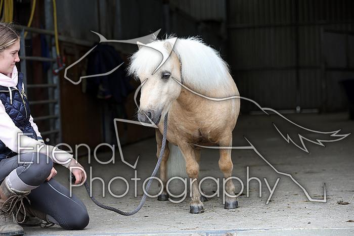 Donnelly1H5A6140126