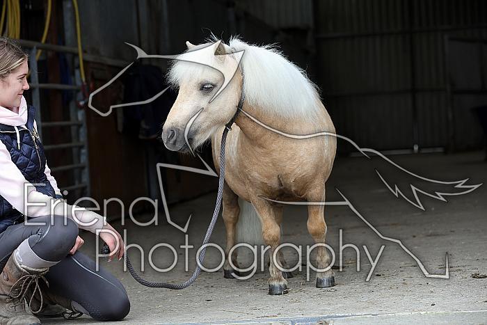 Donnelly1H5A6142127