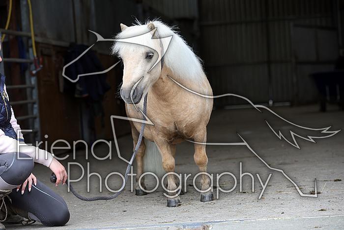 Donnelly1H5A6144129