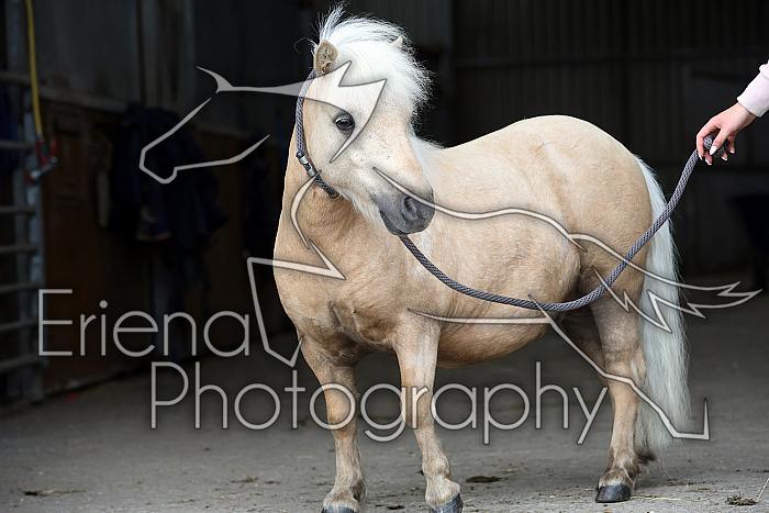 Donnelly1H5A6146130