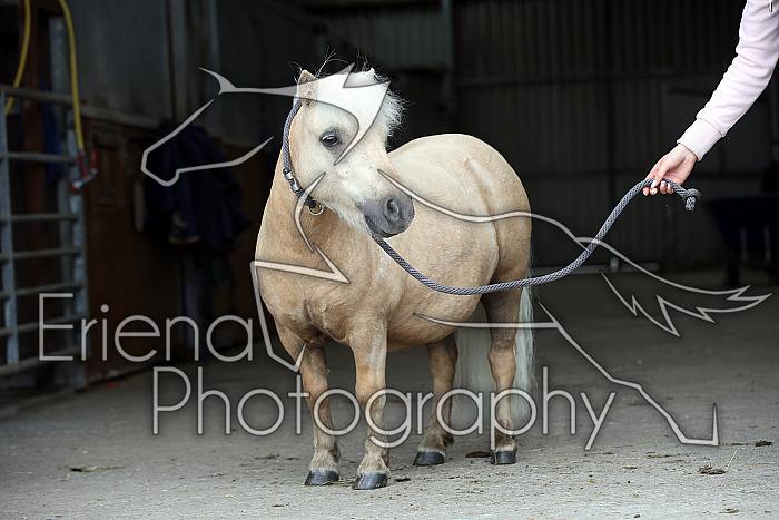 Donnelly1H5A6147131