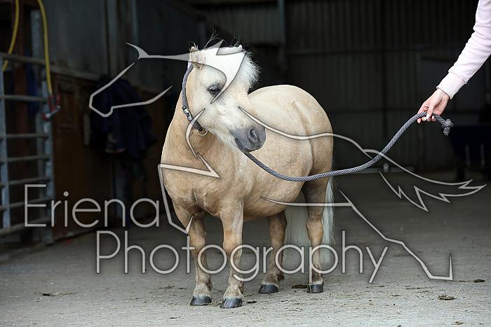 Donnelly1H5A6148132