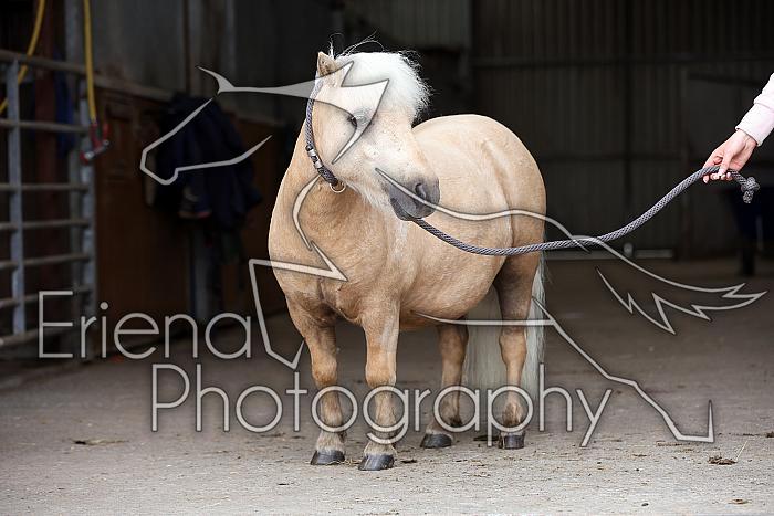 Donnelly1H5A6150134