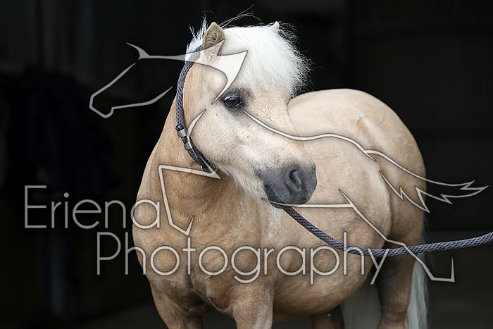 Donnelly1H5A6155138
