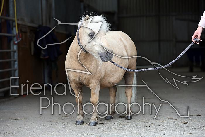 Donnelly1H5A6164141
