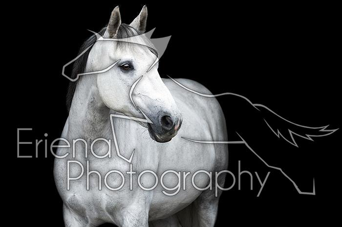 DonnellyExample142