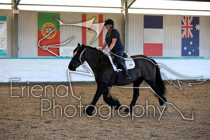 Novice2001