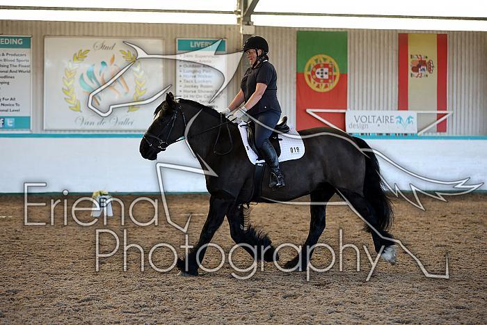 Novice2002
